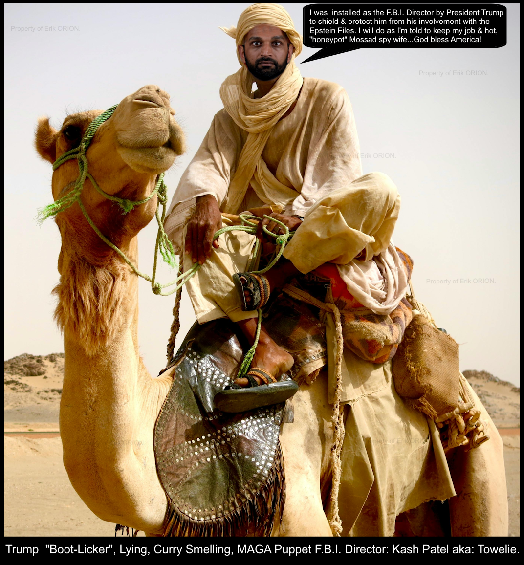 Kash-patel-camel1