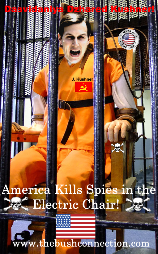 photos/kushner-echair2